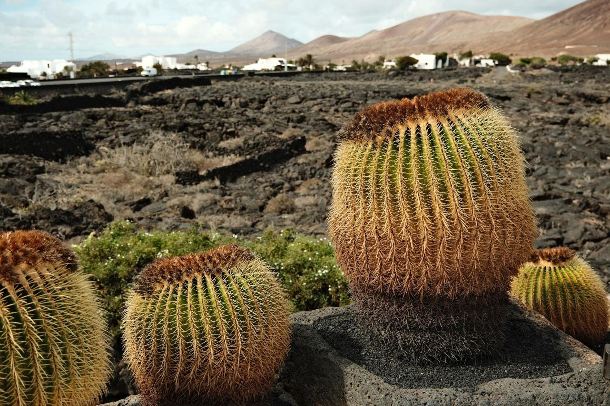 Casa Layka, Con Maravillosas Vistas Al Mar La Asomada (Lanzarote) Exterior foto