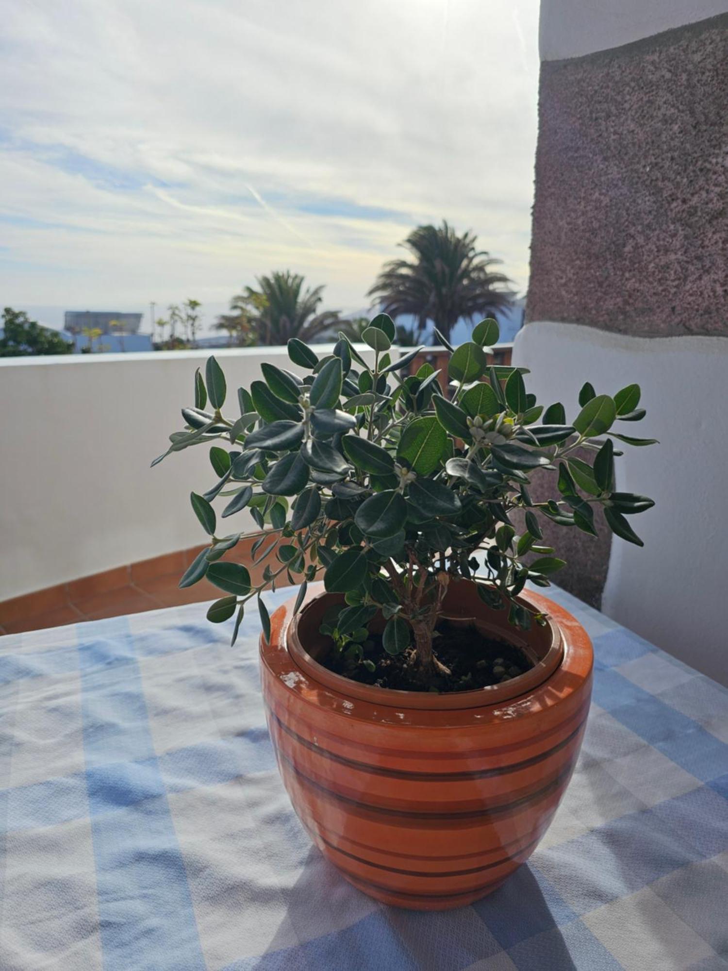 Casa Layka, Con Maravillosas Vistas Al Mar La Asomada (Lanzarote) Exterior foto